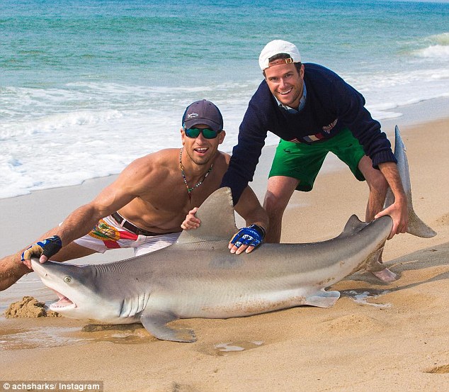 Un hombre se hace famoso en Internet por capturar tiburones con sus propias manos 7