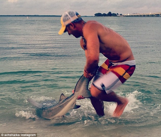 Un hombre se hace famoso en Internet por capturar tiburones con sus propias manos 8