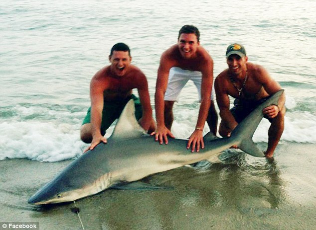 Un hombre se hace famoso en Internet por capturar tiburones con sus propias manos 9