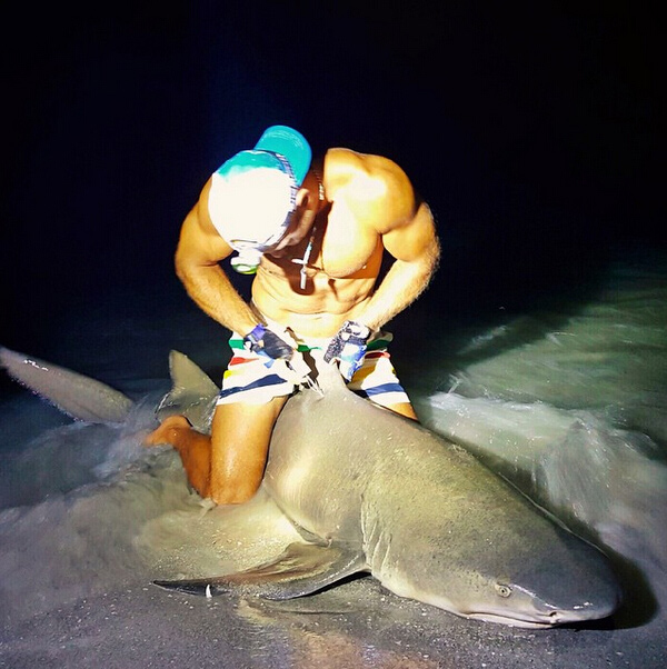 Un hombre se hace famoso en Internet por capturar tiburones con sus propias manos 2