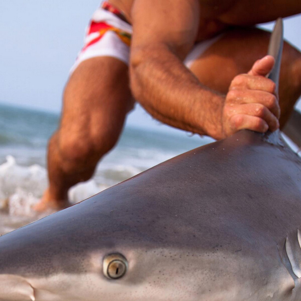 Un hombre se hace famoso en Internet por capturar tiburones con sus propias manos 4