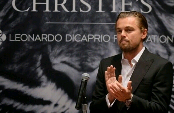 Leonardo DiCaprio dona 15 millones de dólares para el medio ambiente