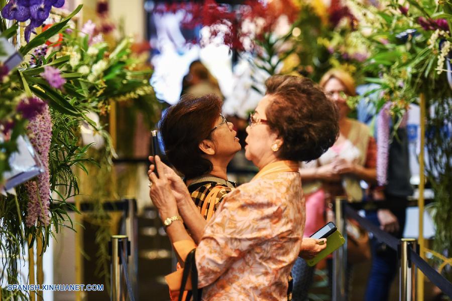 Tailandia: Exhiben más que 120 tipos de orquídeas en Bangkok 2