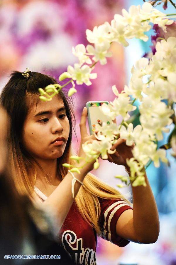 Tailandia: Exhiben más que 120 tipos de orquídeas en Bangkok 4