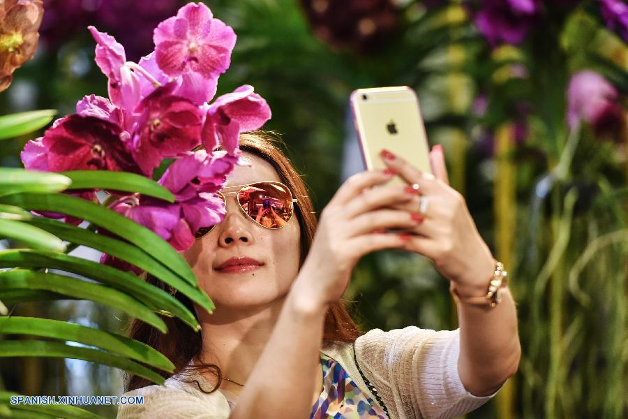 Tailandia: Exhiben más que 120 tipos de orquídeas en Bangkok 6