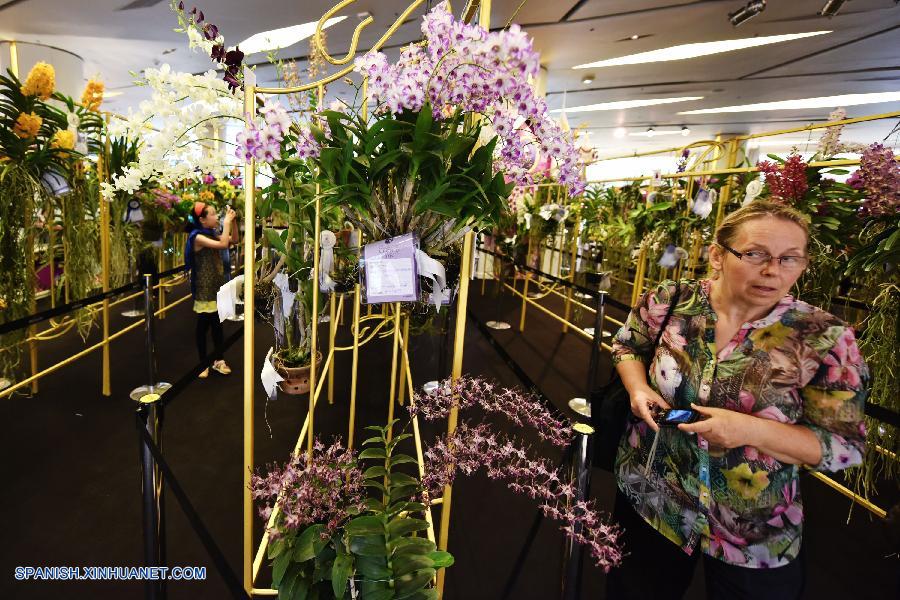 Tailandia: Exhiben más que 120 tipos de orquídeas en Bangkok 9