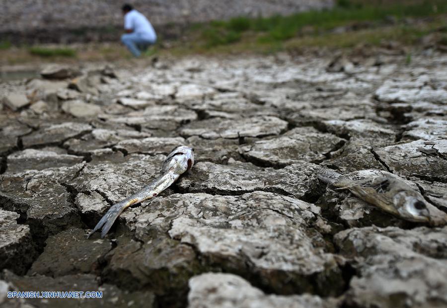 Un total de 248.500 personas carecen de agua en noreste de China por sequía