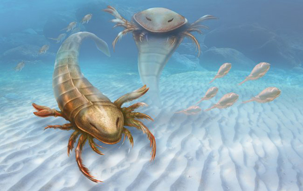 Descubren una nueva especie de «escorpión marino» en EE.UU
