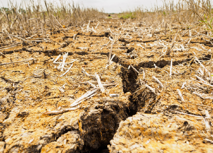 Tailandia sufre una sequía inusual