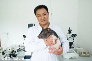 Empresa china vende mini cerdos de gene-editado como mascotas