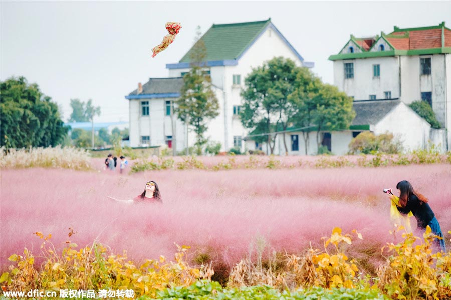 Turistas visitan el paisaje rosa de Shanghai