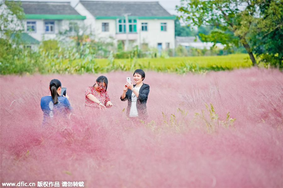 Turistas visitan el paisaje rosa de Shanghai