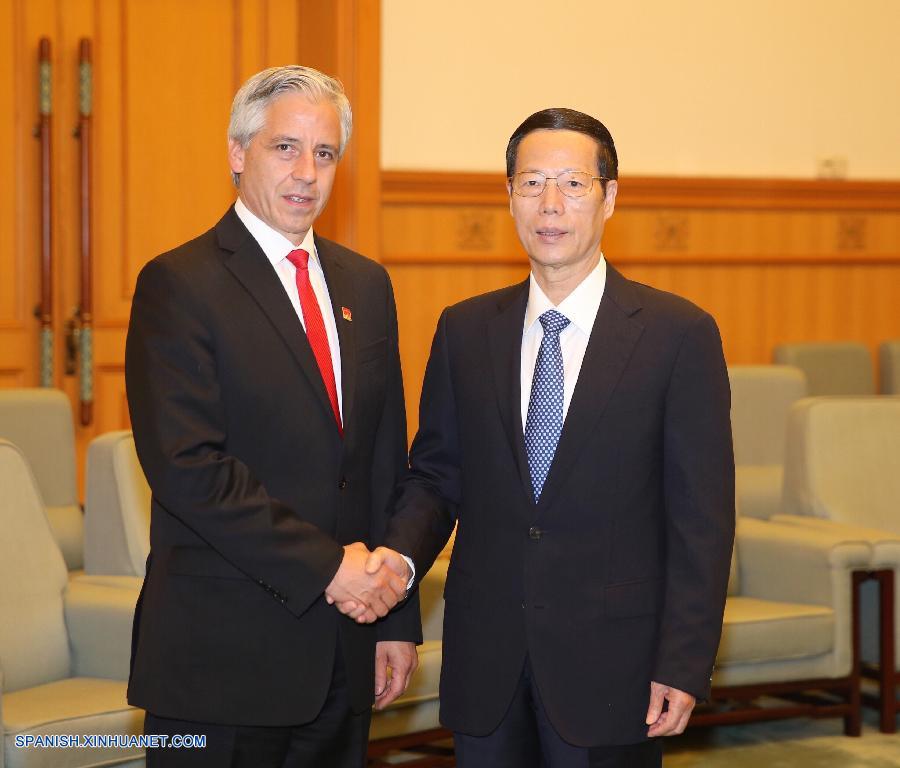 Viceprimer ministro chino se reúne con vicepresidente de Bolivia