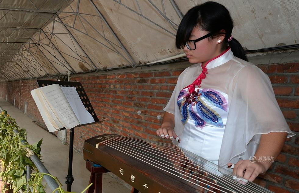 Científicos creen que la música tradicional china influye en la calidad de la carne de cerdo
