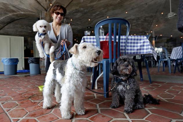 Nueva York permite que los perros puedan entrar en restaurantes