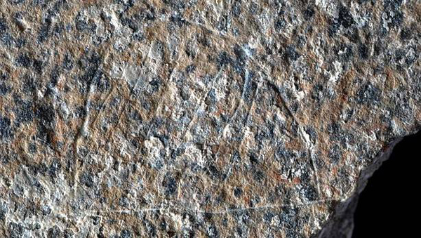 Descubren un campamento de cazadores grabado en piedra hace más de 13.000 años