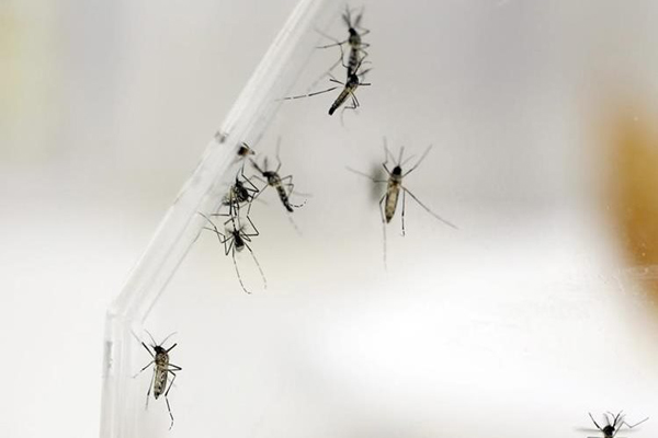 El virus Zika se extiende por América
