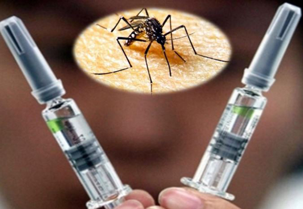 México será el primer país en utilizar la primera vacuna contra el dengue