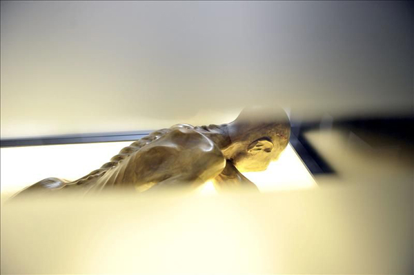 Hallan una bacteria estomacal en la momia Ötzi