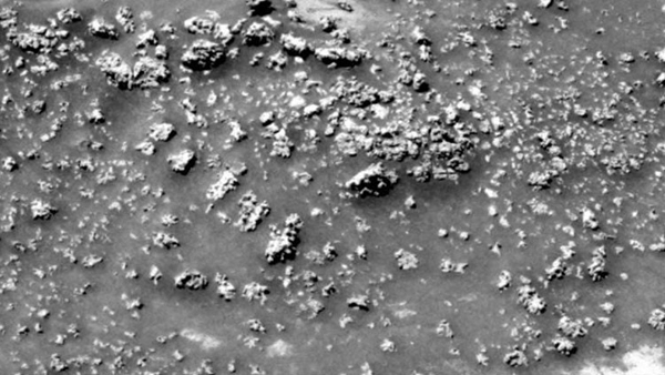 Científicos creen haber encontrado pruebas de vida en Marte