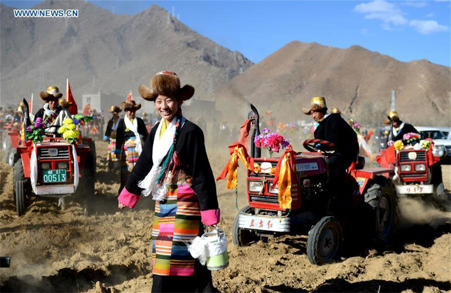 Agricultores celebran arado tradicional de primavera en el Tíbet