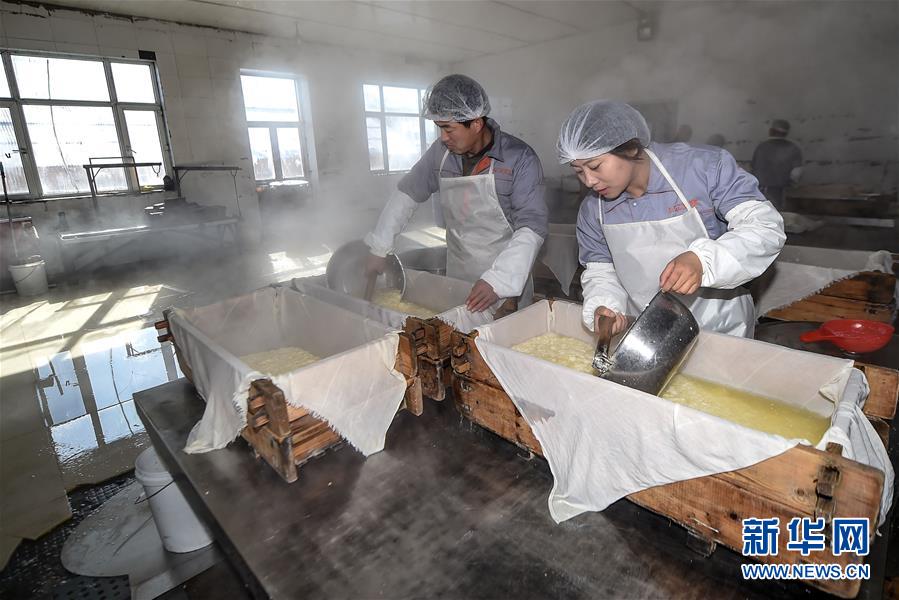 Bu y sus empleados hacen cuajada de legumbres, el 23 de febrero de 2016. [Foto/Xinhua]