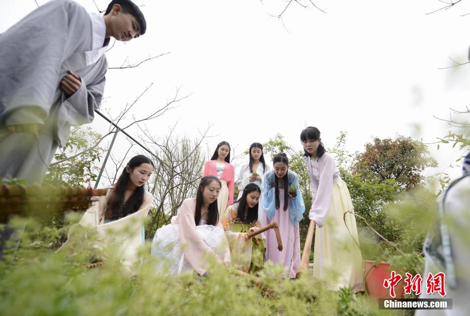 Estudiantes de Hunan cultivan plantas medicinales vestidas con trajes Han
