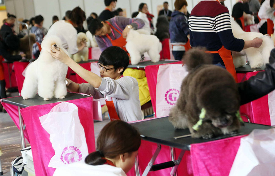 El negocio del cuidado de animales domésticos es cada vez más popular en China.