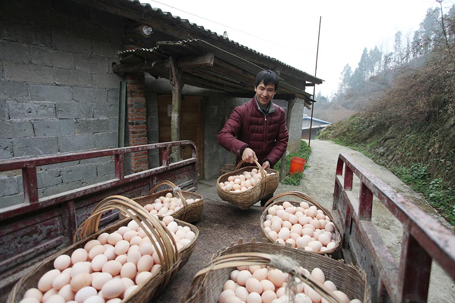Un empleado recoge cestas de huevos en Ankang, provincia de Shaanxi, el 9 de marzo de 2016.
