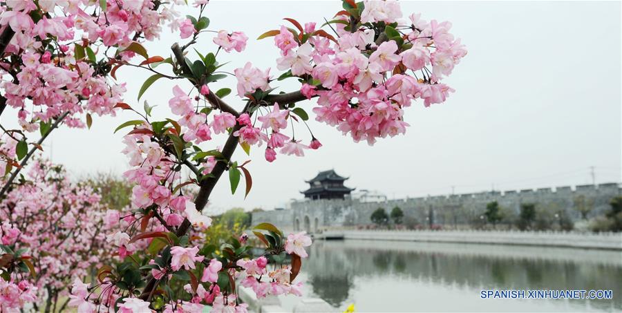 Las flores de primavera en China