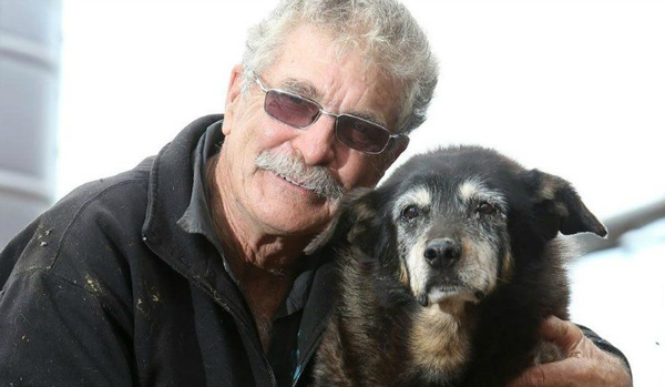 Muere el perro más viejo del mundo a los 30 años