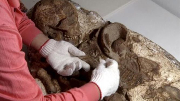 Encuentran un fósil humano de 4.800 años sujetando a su hijo en Taiwán