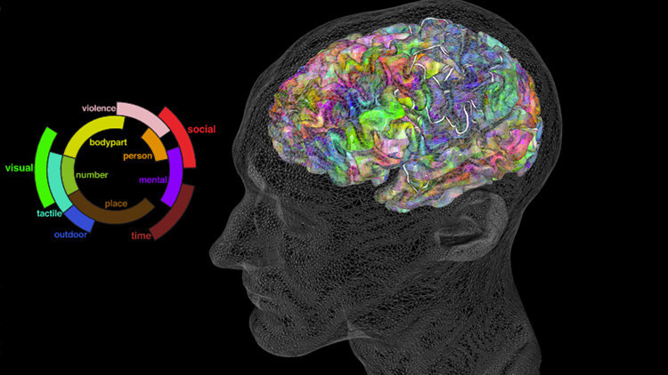 Crean un atlas semántico del cerebro que permite leer la mente