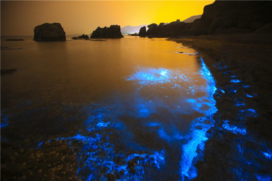 Increíbles imágenes de la playa fluorescente de Dalian