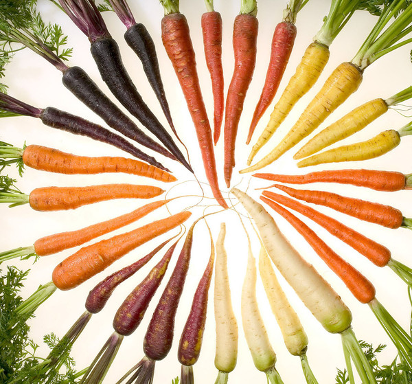 El genoma de la zanahoria desvela el origen de su color anaranjado