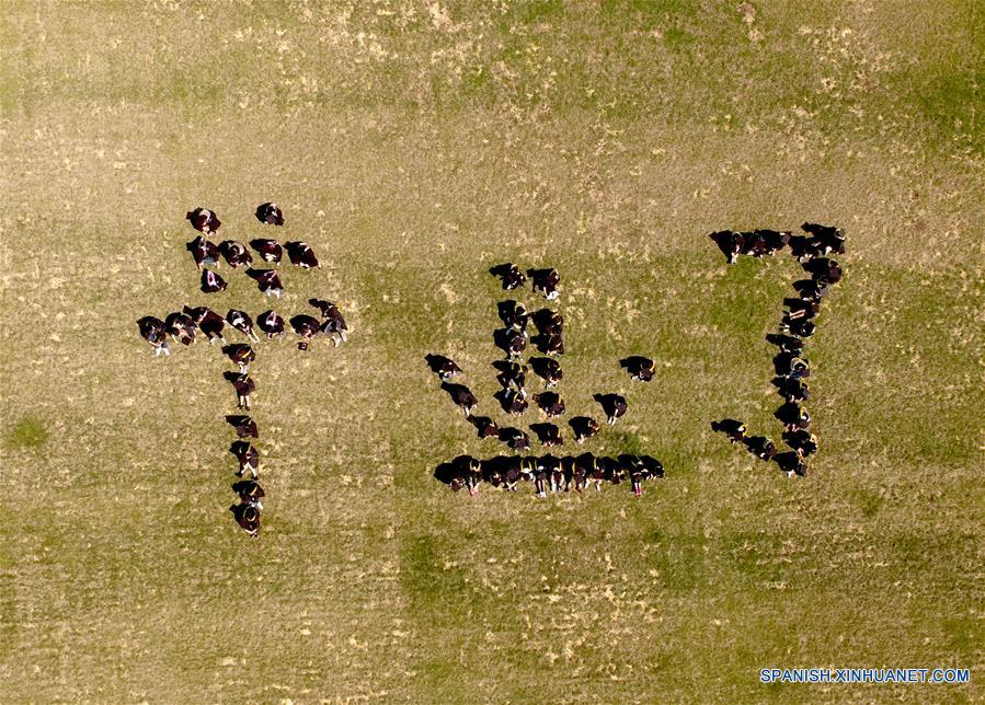  SHENYANG, mayo 31, 2016 (Xinhua) -- Graduados de la Universidad Agrícola de Shenyang, forman los caracteres que significan "graduado" para fotografías en el campus en Shenyang, capital de la provincia de Liaoning, en el noreste de China, el 29 de mayo de 2016. Los graduados tomaron fotografías creativas de graduación con un dron el domingo. (Xinhua/Zhang Wenkui) 