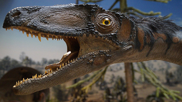 Descubren en la India huellas de dinosaurios de 150 millones de años