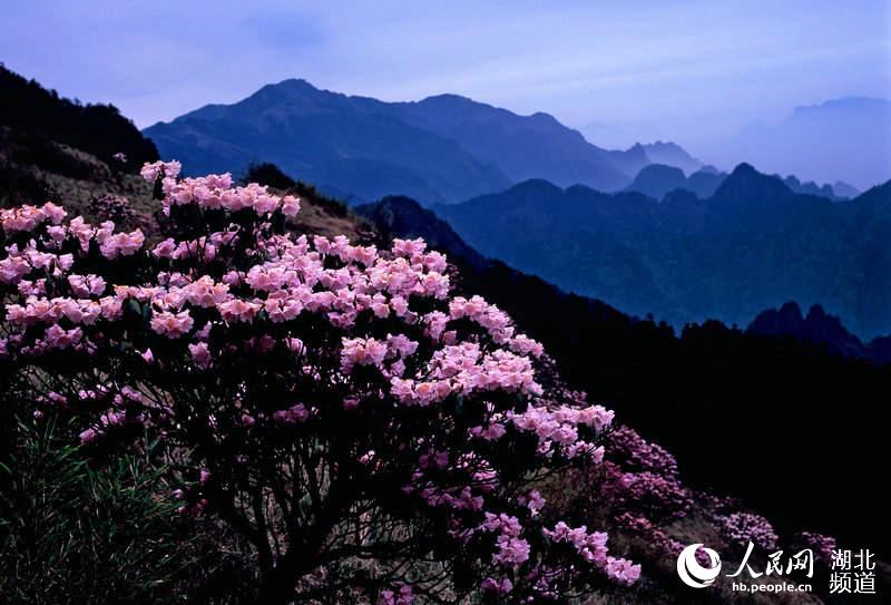 El Parque Nacional de Shennongjia solicita ser incluido como Patrimonio Natural Mundial