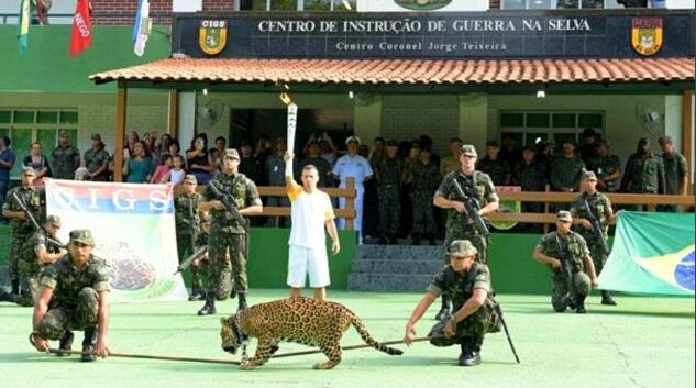 Matan a tiros al jaguar que acompañaba a la antorcha olímpica en Brasil