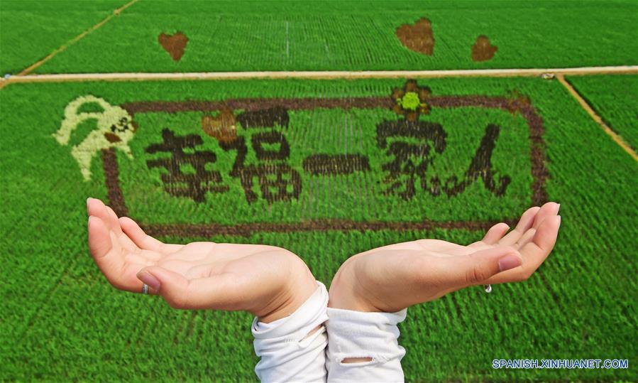 Dibujos animados en un parque industrial agrícola de China