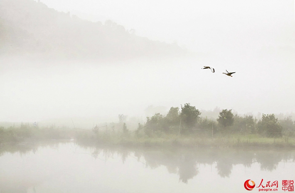 Río Xin'an en la niebla del amanecer