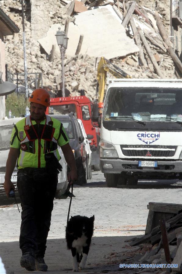 Sube a 281 número de muertos por sismo en Italia