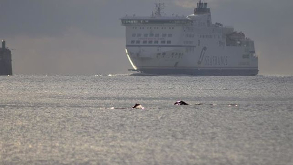 Fallece un experimentado nadador británico al intentar cruzar el canal de la Mancha