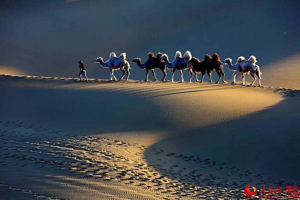 Sonido de campanas de camellos en el desierto Kumtag