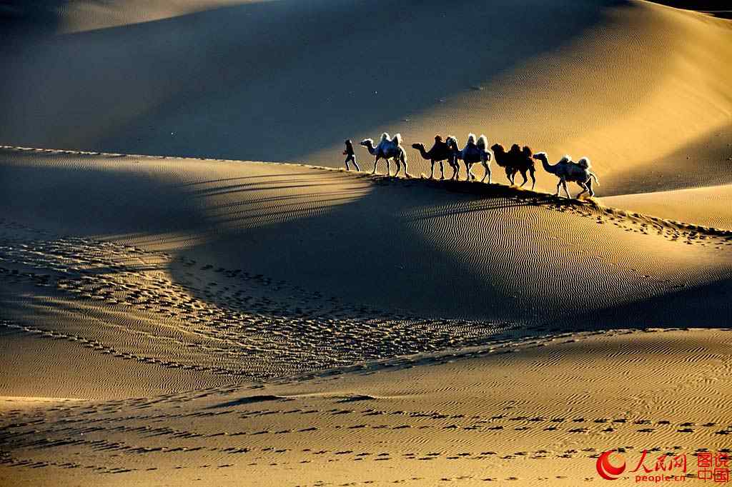 Sonido de campanas de camellos en el desierto Kumtag