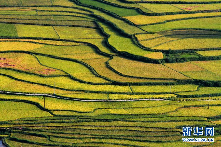 Paisaje de terraza para agricultura en Hunan