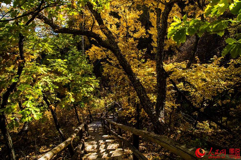 Espectaculares imágenes del otoño en el río Huma
