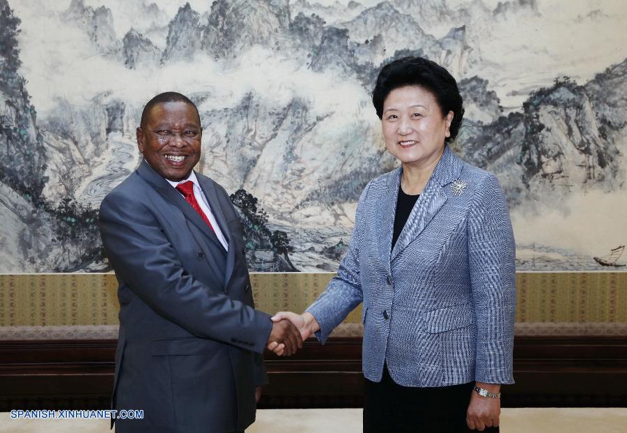 Vice primera ministra china se reúne con delegación surafricana