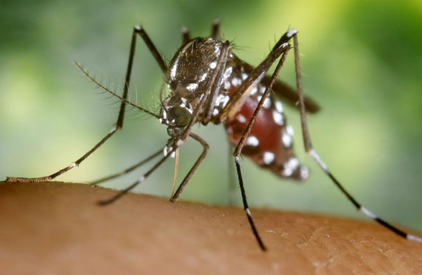 El virus del zika podría propagarse mediante las lágrimas