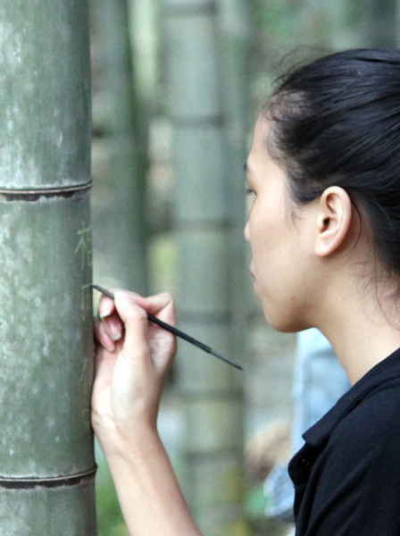 ¿Es buena idea habilitar una zona para grafiti en un bosque de bambús?